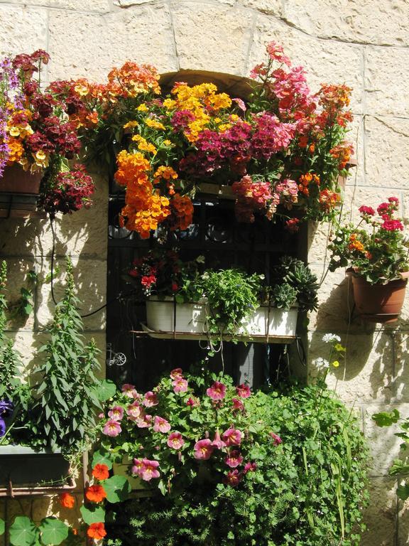 Cozy Garden Appartement Jeruzalem Buitenkant foto