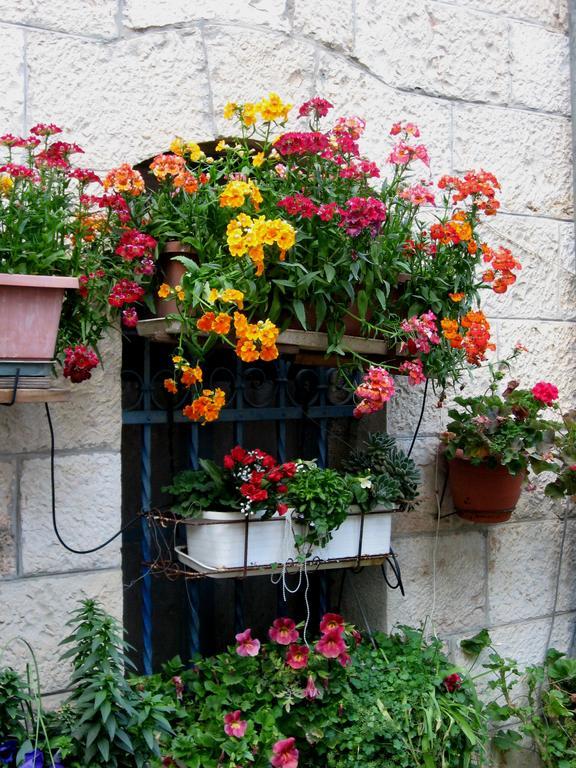 Cozy Garden Appartement Jeruzalem Buitenkant foto